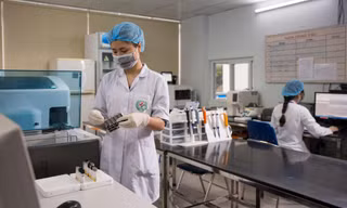 11 cơ sở giáo dục Việt Nam lọt top xếp hạng các trường đại học châu Á