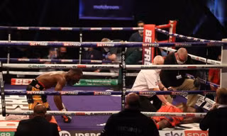 Võ sĩ quỳ gối sau khi hạ đo ván knock-out đối thủ