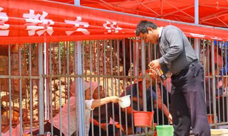Tự nhốt mình trong lồng sắt để ...ăn xin