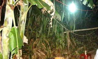 Nghi án con tâm thần đánh chết cha