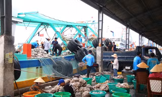 Kiên Giang gắng sức gỡ thẻ vàng IUU, hỗ trợ ngư dân
