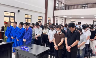 Tuyên án 61 bị cáo làm giả hơn 1.000 văn bằng, chứng chỉ ở An Giang