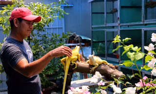 Bỏ việc văn phòng, chàng trai nuôi 'thú cưng độc lạ' ở miền Tây thu trăm triệu mỗi năm