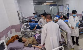Vụ ngộ độc bánh mì ở Sóc Trăng: Phạt 90 triệu đồng, buộc trả tiền viện phí cho 153 người