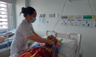 Một người tử vong, hai người nhập viện nghi do ăn cá nóc