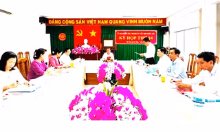 10 cán bộ ở Cần Thơ còn thiếu sót trong kê khai tài sản 