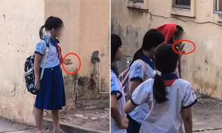 Xôn xao clip học sinh tiểu học hút thuốc trong trường