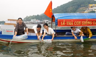 Kiên Giang thả hơn 2 triệu con tôm, cua, cá ra đầm