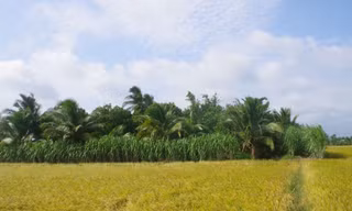 Người đàn ông tử vong trong vườn với vết thương trên trán