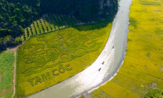 Ninh Bình khởi động tuần du lịch ‘Sắc vàng Tam Cốc - Tràng An’