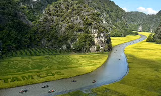 Sắc vàng Tam Cốc - Tràng An: Những khoảnh khắc đẹp như tranh vẽ