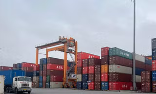 Hải quan điều tra đường đi của 40 tấn gỗ trắc