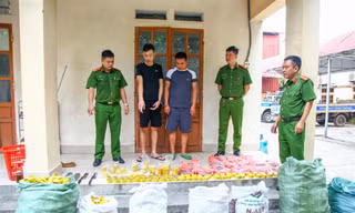 Giả thuê đất trồng rau để sản xuất đạn dược