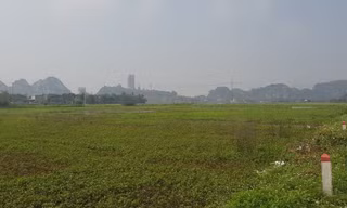 Ninh Bình vẫn giao 7,5ha đất khi chưa xác định giá, không qua đấu giá cho Tập đoàn Thành Thắng