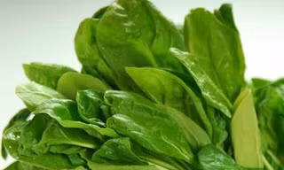 Cây cải bó xôi chữa nhiều bệnh