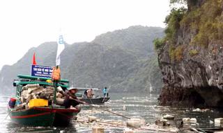Bộ Văn hóa lên tiếng về thông tin UNESCO xem xét loại vịnh Hạ Long khỏi danh sách Di sản thiên nhiên thế giới