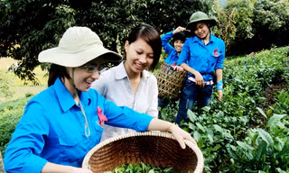 Hướng về biên cương, hải đảo