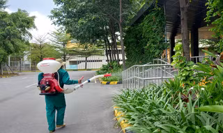 Bình Dương: Cảnh báo có trẻ tử vong do sốt xuất huyết, nhiều gia đình vẫn tự mua thuốc điều trị
