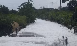 Chủ tịch Đồng Nai: Làm rõ vụ dòng nước nổi bọt trắng xóa, hôi nồng nặc tràn vào khu dân cư