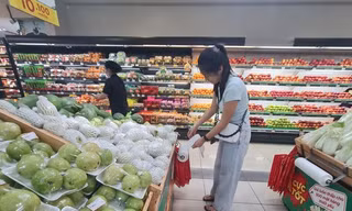 TP.HCM sẽ không phát túi nylon khó phân hủy cho người đi siêu thị