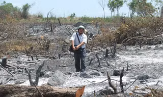 Sáu tháng, xóa sổ 90 ha rừng tự nhiên