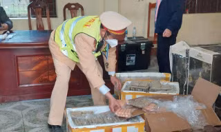 Kiểm tra xe khách phát hiện 500 kg xúc xích, giò chả bốc mùi hôi thối