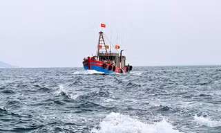 Nghệ An xử phạt 8 tàu đánh cá vì lỗi mất kết nối hành trình