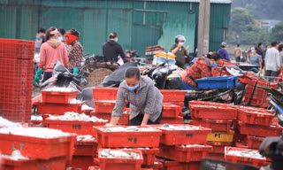 Nhịp sống nhộn nhịp ở cảng cá sau những ngày 'đóng băng' phòng chống dịch