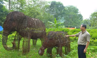 15.000 bẫy thú rừng tạo thành cặp tượng voi mẹ con