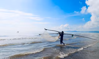 Ngư dân xứ Nghệ rộn ràng mùa thu hoạch ruốc biển