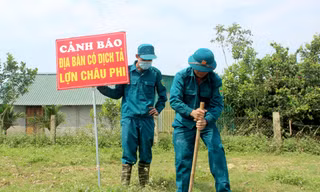 Một huyện của Nghệ An tiêu hủy gần 150 tấn lợn bị dịch tả Châu Phi