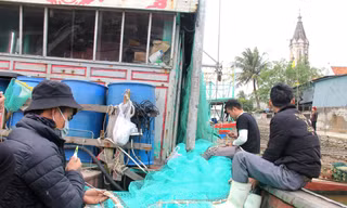 Đánh bắt thua lỗ, ngư dân đỏ mắt tìm bạn thuyền ra khơi