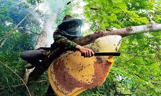 Tìm thấy thi thể người đàn ông vào rừng lấy mật ong sau 3 ngày mất tích