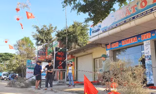 Tre xanh ồ ạt về phố, phục vụ nhu cầu dựng cây nêu đón Tết