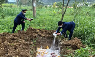 Nghệ An: Vi phạm quy định vệ sinh an toàn thực phẩm bị phạt hơn 3 tỷ đồng
