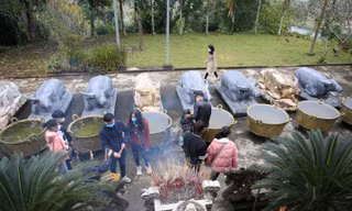 Kỳ bí ngôi đền có 9 con trâu quỳ gối ở miền Tây xứ Nghệ
