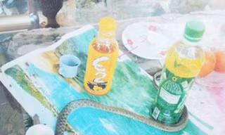 Cả xã xôn xao vì một con rắn nước