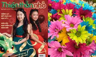 Đón đọc Thiên Thần Nhỏ 495: Đi tìm màu sắc may mắn của năm mới 2024