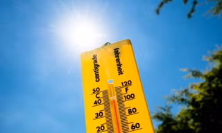 Không phải CO2, khí metan mới là thủ phạm chính khiến Trái Đất nóng lên nhanh