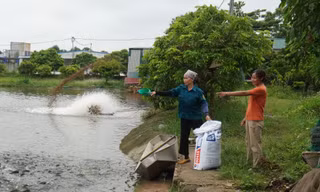 Chị Nguyễn Thị Quyên (bên phải) cải tạo vùng đất lò gạch thành trang trại tiên tỷ.