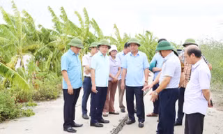 Lãnh đạo tỉnh Bắc Ninh kiểm tra tuyến đê sau bão số 3.