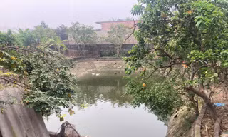 Hiện trường vụ việc.