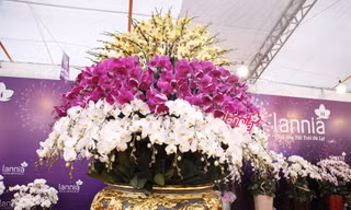 Trong chậu có gần 1000 cành hoa lan Đà Lạt. Ảnh: Nguyễn Thắng.