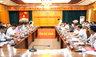 Tổ công tác của Thanh tra Chính phủ làm việc với tỉnh Bắc Giang.