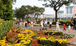Hà Nội tổ chức 70 điểm chợ Xuân phục vụ Tết Ất Tỵ