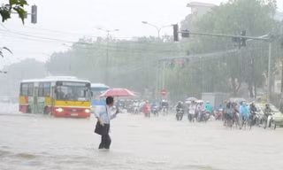 Nhiều lĩnh vực công ích Hà Nội trong đó có vận tải, thoát nước bị thành phố nợ thanh toán nhiều tháng. Ảnh: A.Trọng