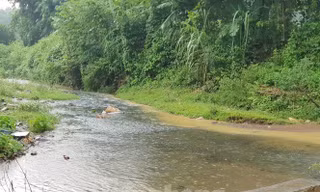 Mặc dù ngày 13/10 trời có mưa, nhưng màu nước sông dẫn vào Nhà máy nước Sông Đà vẫn chuyển sang màu đen. Ảnh: Trần Hoàng