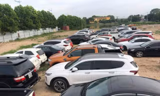 73 chiếc ô tô bị cơ quan chức năng thu giữ. Ảnh Công an cung cấp.