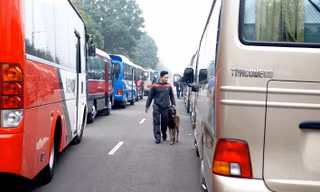 Cảnh khuyển tham gia rà soát xe phục vụ Đại hội XIII