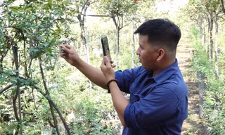 Chàng trai 9x livestream bán hoa trên mạng, kiếm tiền tỉ